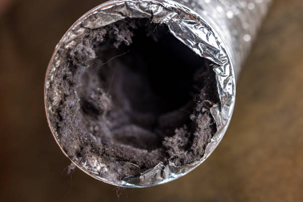Best Ductwork Cleaning Services  in Deltana, AK