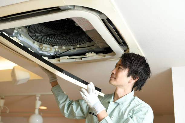 Best HVAC System Cleaning  in Deltana, AK